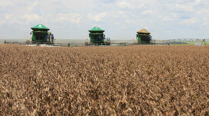 Imagem de compartilhamento para o artigo Produtores com perdas na safra podem renegociar dívidas do crédito rural em MS da MS Todo dia